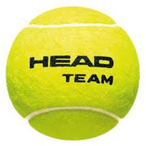 توپ تنیس هد TEAM